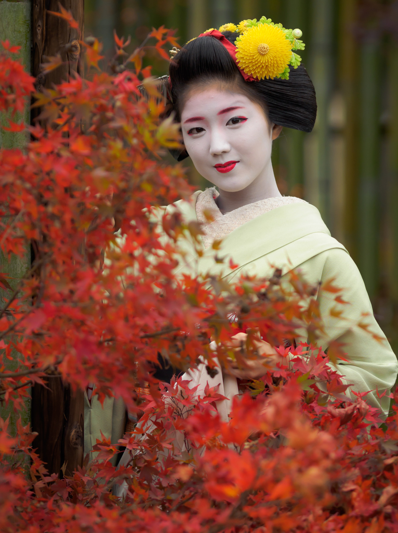 A blog about the maiko and geiko of Kamishichiken: Photo