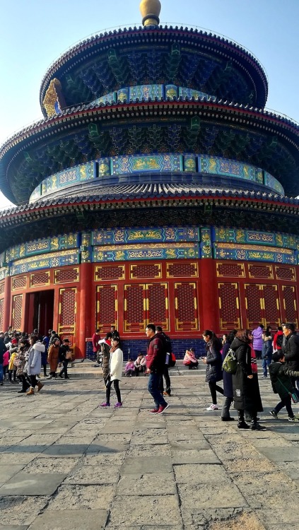 sailoryang:Heaven’s temple (天坛) - Beijing (北京)