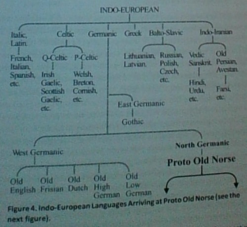 english translation for all norse realms