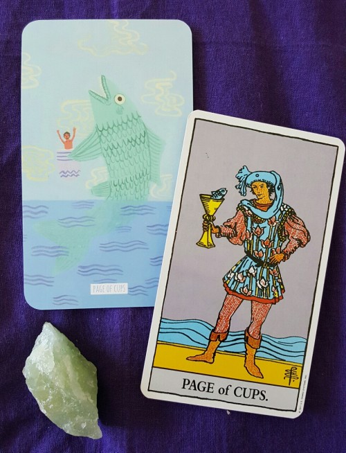 tarot picture post circo tarot page of cups personal reading excerpt