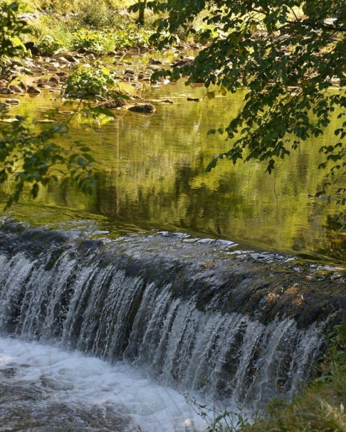 MIROIRSAreuse, Neuchâtel #river #miror #tree #nature #green...