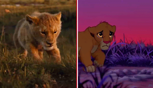 3 Reasons Why We Didn T Love The Lion King And 1 Reason We Did Allears Net