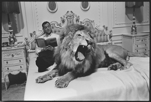 Tony Randall and the lion Zamba, while filming Fluffy, 1965