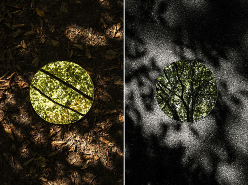 gozyuku:Fotoğrafçı Sebastian Magnani , iki manzarayı aynı...