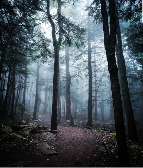 Creepy October dream in Ricketts Glen State Park, PA [OC]...