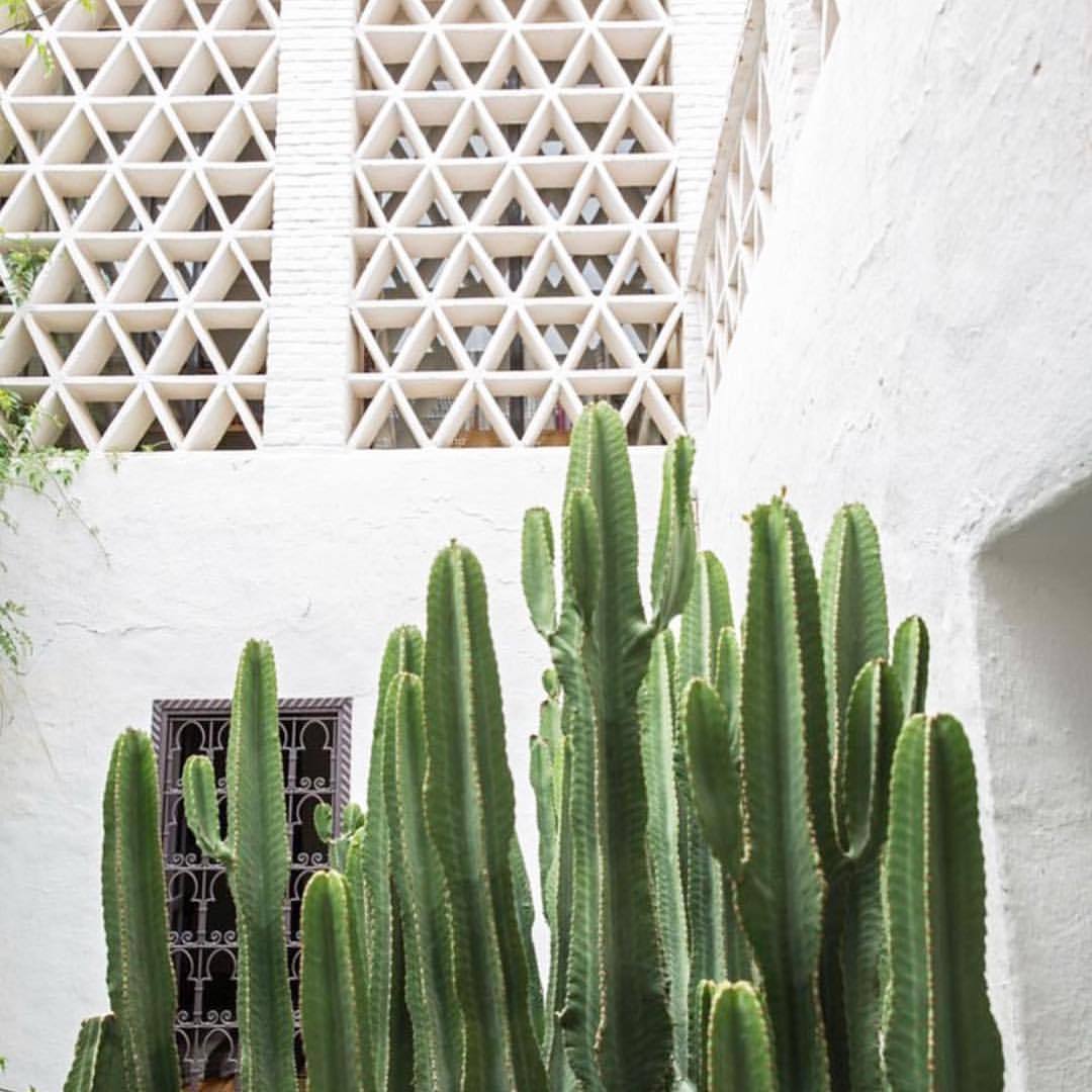 Maison De Marrakech — Loving this Zilij design ︎ So ...