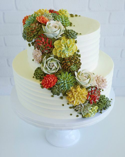 itscolossal:Buttercream Succulents Decorate Edible Planters by...