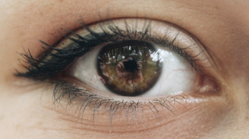 canon eye eyes green 600d black reflecion eyeliner eyelashes trees camera vscocam washington dc beautiful makeup skin closeup