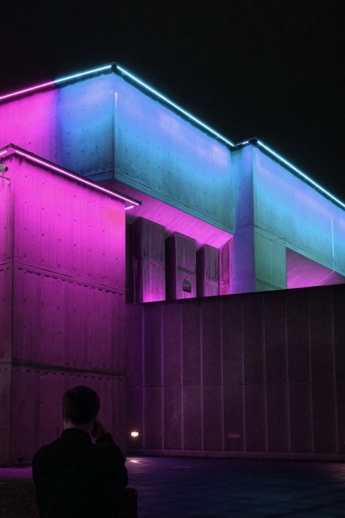 pink neon Pink Neon neon pink light lights neon light neon lights blue blue neon ostrich glow pink glow glow blog street night darkness