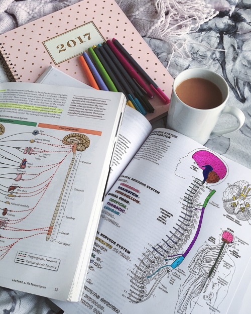 amreen28:Anatomy Coloring Book is helping me study for my...