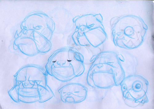 British Bulldog sketches