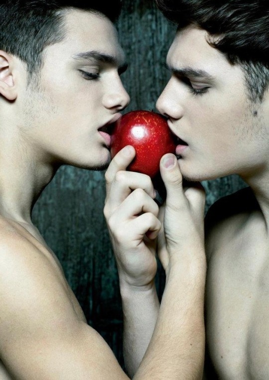 Gay twins for mac