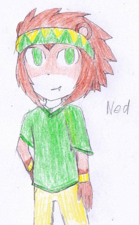 Ned - Hedgehog Kid