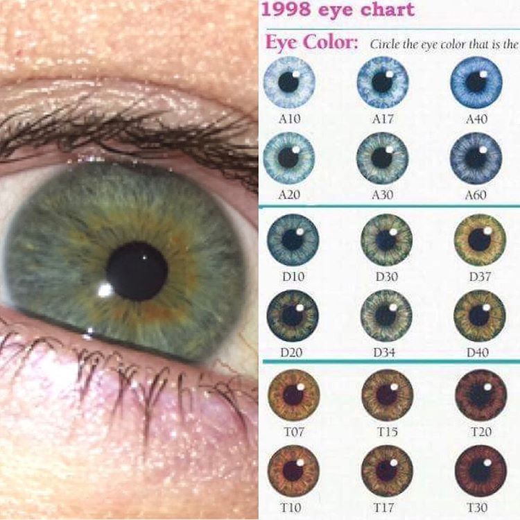 What Color Are My Eyes Chart