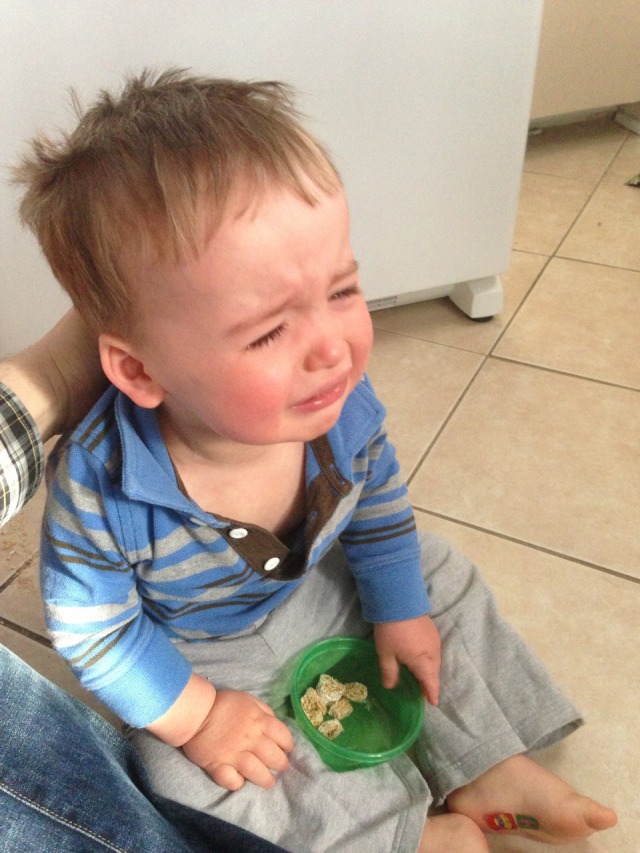 reasons-my-son-is-crying-photo