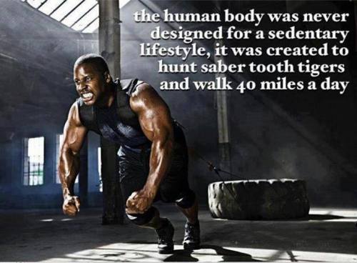 Fitness Quotes