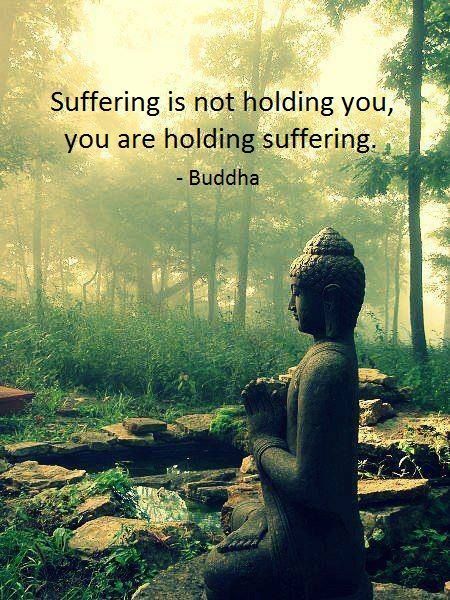 zengardenamaozn:Buddha quotesProfessional zen garden...