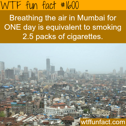 breathing-the-air-of-mumbai-wtf-fun-facts