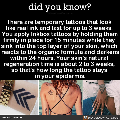 930+ Free Download Temporary Tattoo How Long HD Tattoo Images