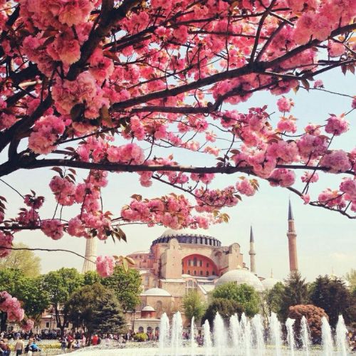 ayasofya Hagia Sophia istanbul turkey türkiye