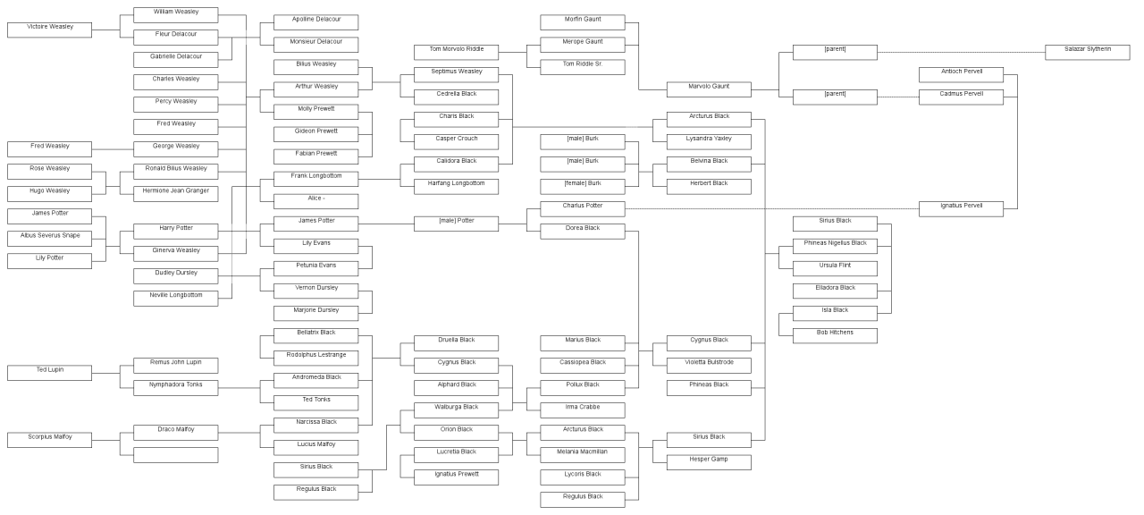 After careful examination of this family tree I...