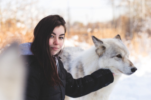 Working with wolves by Stephen Canino Photography