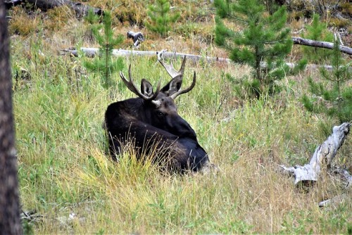 clumsum:The things I stumble across on a hike9-8-18