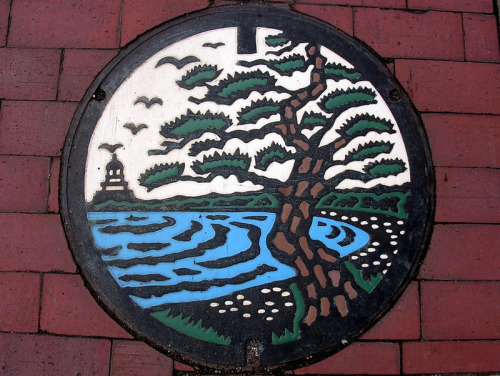 culturenlifestyle:Japan’s Artistic Manhole Covers Paving The...