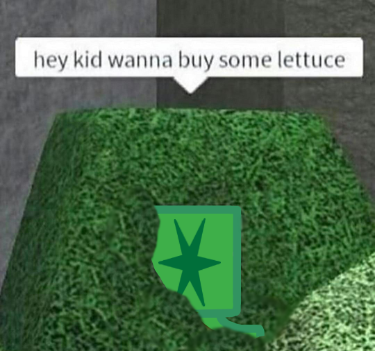 hey kid want some lettuce roblox