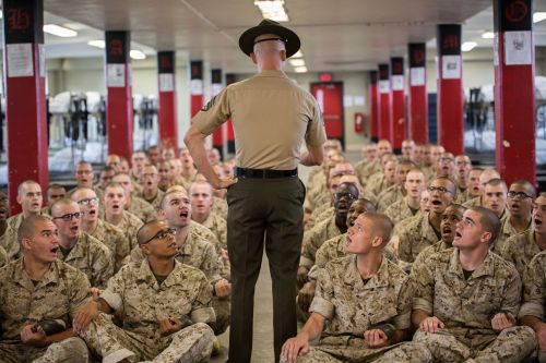 drill instructor on Tumblr