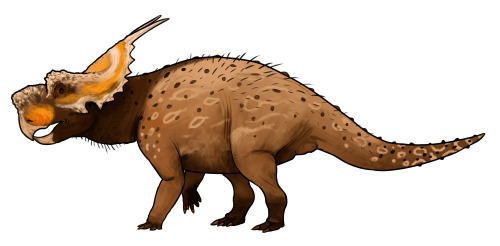 A Dinosaur A Day · Achelousaurus horneri