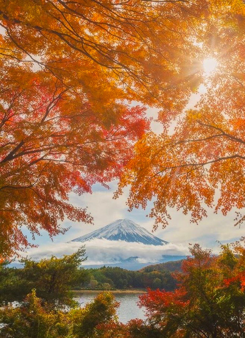 coiour-my-world:Majestic Mount Fuji | Photo by @danielkordan