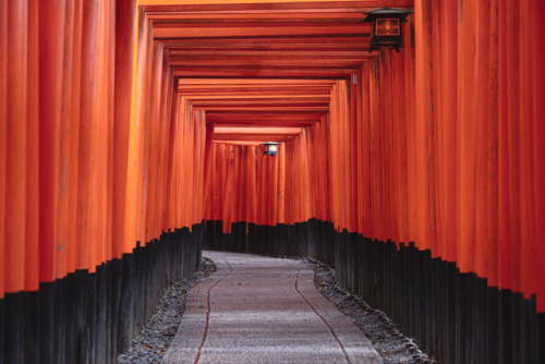 iesuuyr:Kyoto, Japan | Armont van Dyck 