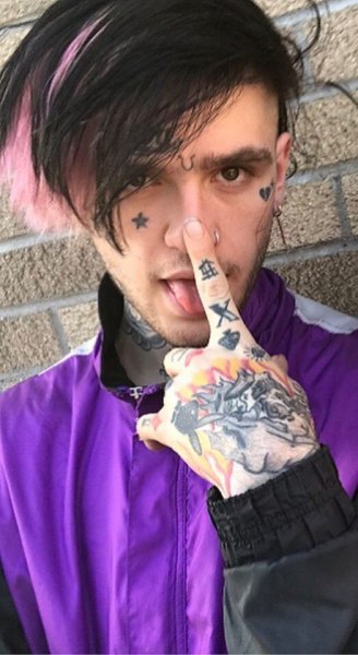 30+ Trends Ideas Lil Peep Purple Hair - Holly Would Mother