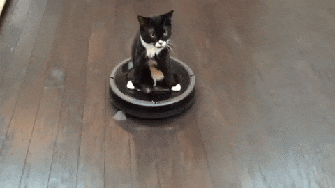 Image result for roomba gif