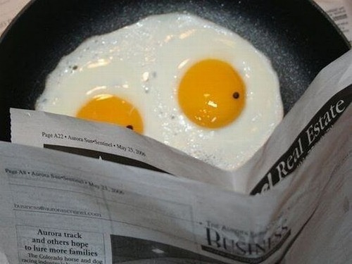 noelfrost:
“ Eggscellent news
”