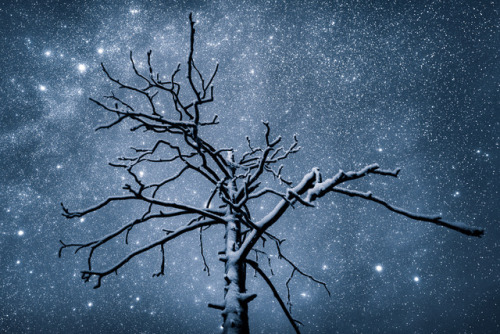 tiinatormanenphotography:Winter magic. Lapland, Finland.by...