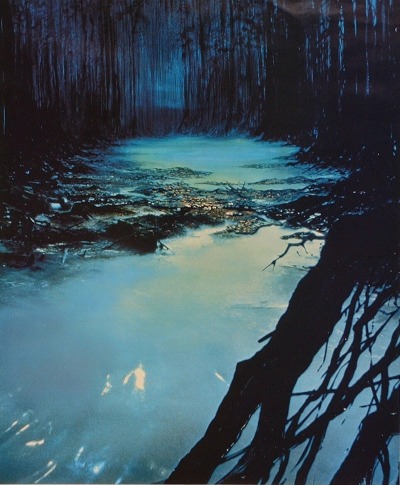 swamps of dagobah | Tumblr