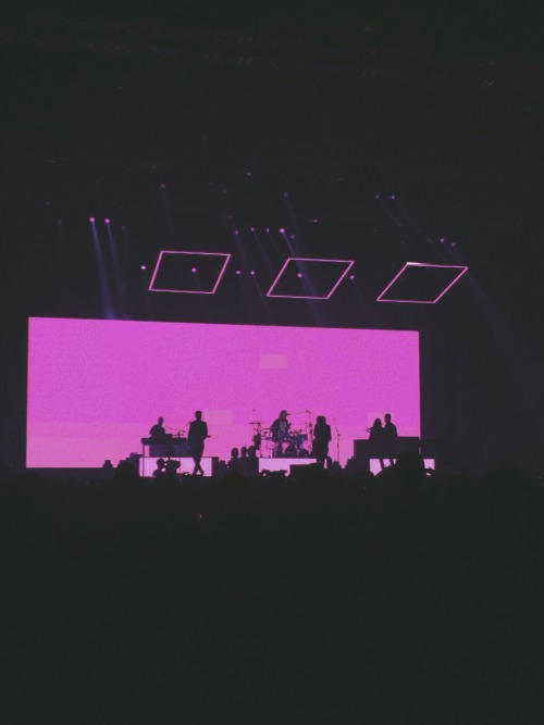 the 1975 on Tumblr