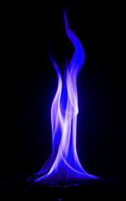 fire and flowers