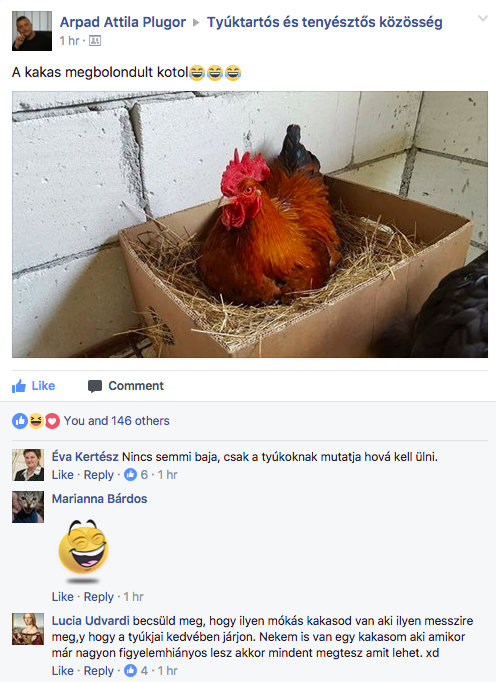 szex chat leszbikus