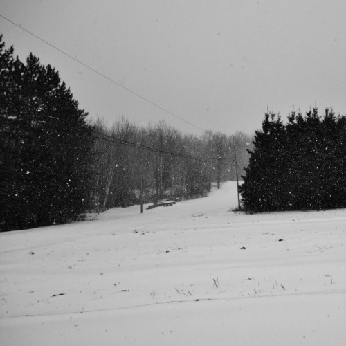 georgesboulevard