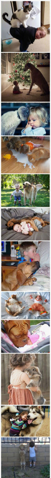 In the eyes of babies, they are not animals. They are good friends.