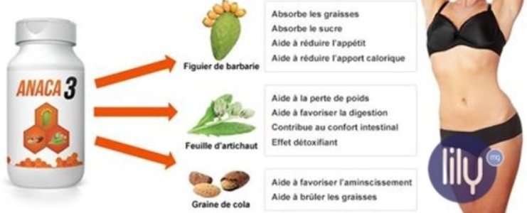 Avis sur Anaca 3 | Anaca3 histoire — Ind ja vira Anaca3 Avis sur Anaca 3 | Anaca3 histoire — Ind ja vira Anaca3