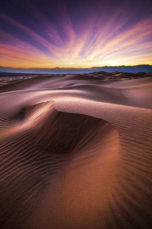 s-m0key:Mesquite Flat Sand Dunes sunset. By - Mads Iversen