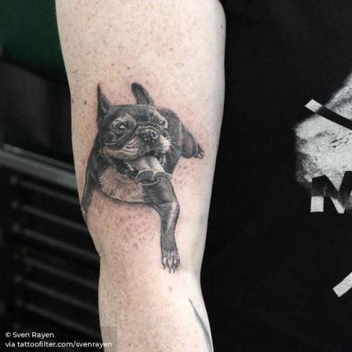 By Sven Rayen, done at Studio Palermo, Antwerp.... animal;black and grey;dog;facebook;france;french bulldog;medium size;patriotic;pet;single needle;svenrayen;twitter;upper arm