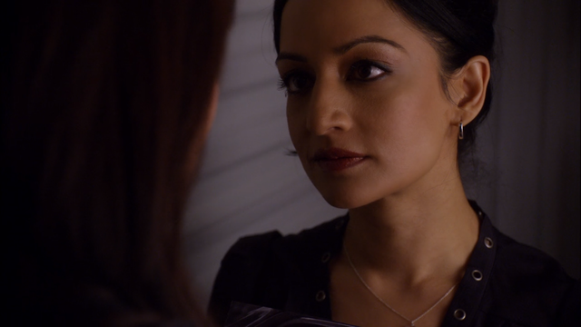 archie panjabi as kalinda sharma in season one of... - emmy nominated ...