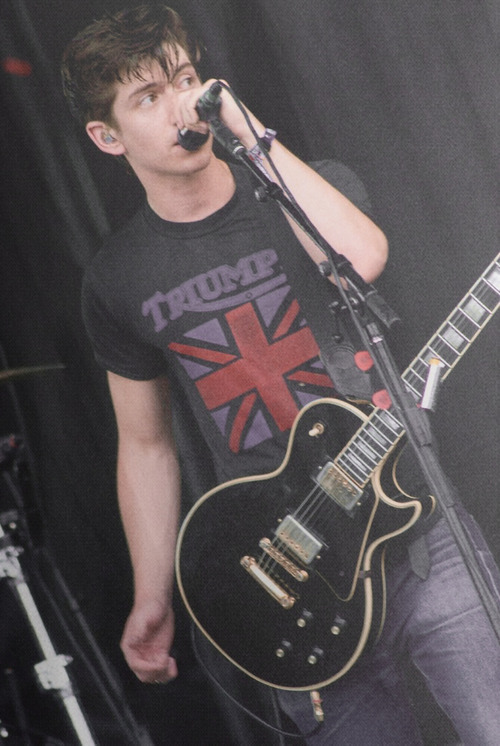 alex turner arctic monkeys lollapalooza arctic monkeys blog alex the band guy rock rock band indie concert follow follow me