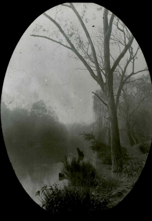 dame-de-pique:Archibald James Campbell - Lake, Royal Botanic...