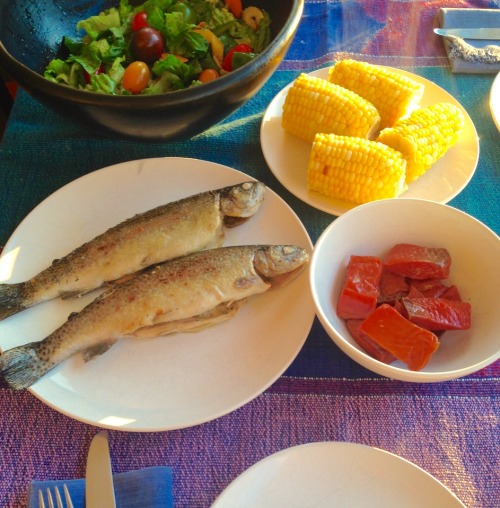 Sometimes it’s all about simplicity: pan-fried rainbow trout I...